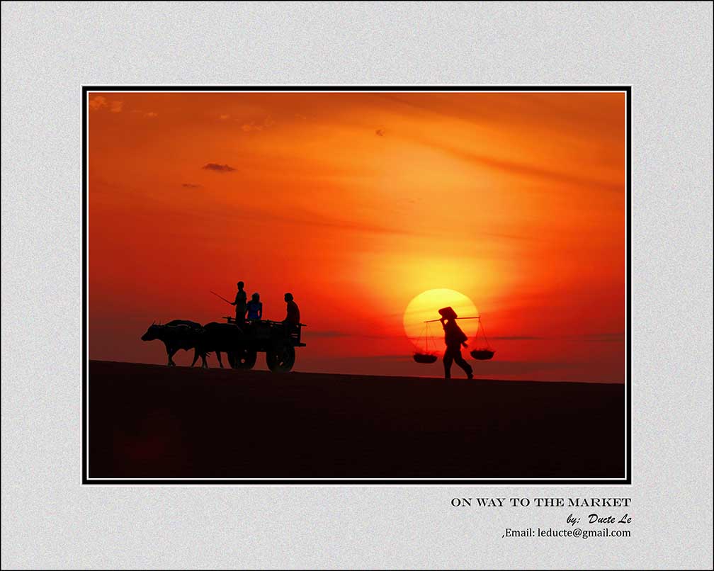 B-013-On-way-to-The-Market-20-x16-Resize